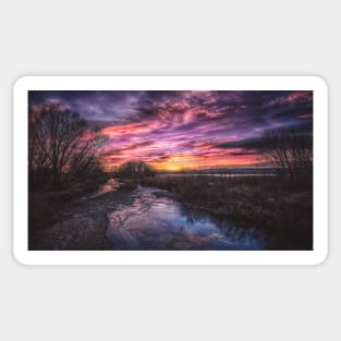 Natural NoCo - Poudre River Sunset Sticker